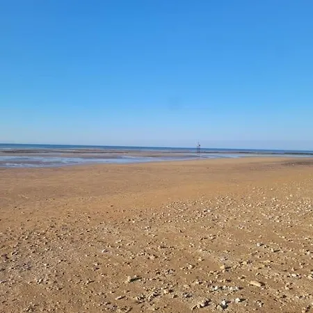 Les Oiseaux De La Seulles *