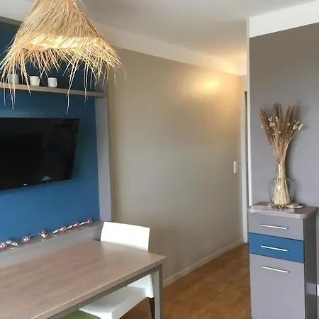 Les Oiseaux De La Seulles