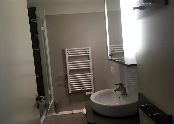 Les Oiseaux De La Seulles * Courseulles-sur-Mer