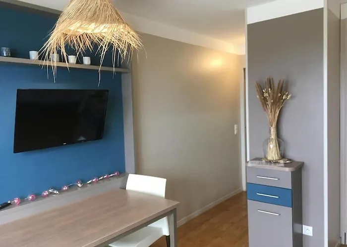 Les Oiseaux De La Seulles