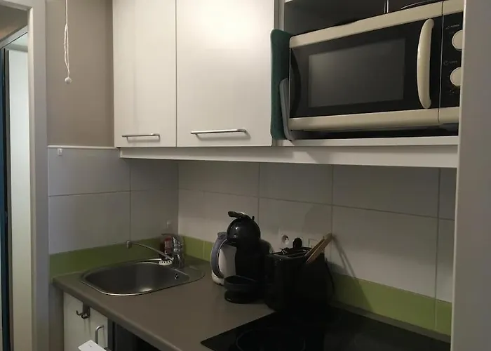 Les Oiseaux De La Seulles *